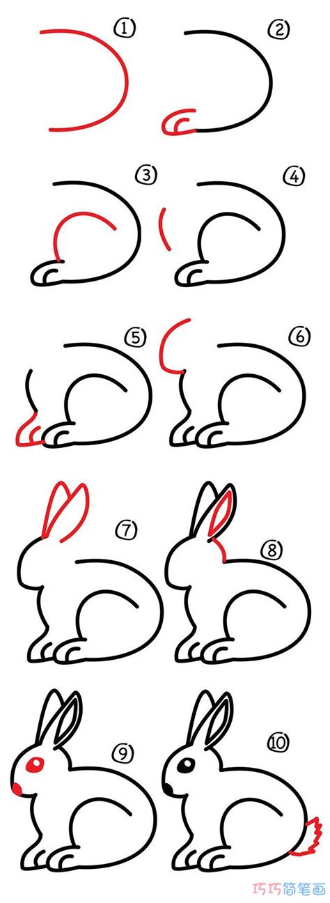 簡單兔子畫法